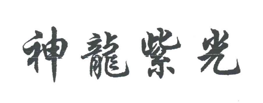 神龙紫光