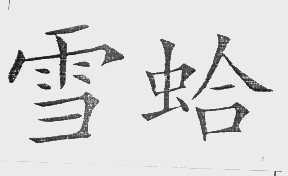 雪蛤