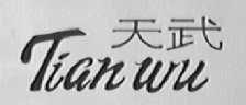天武