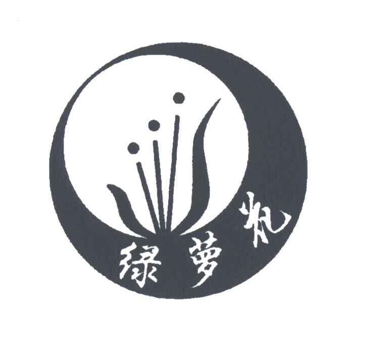 绿萝花
