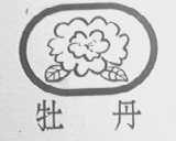 牡丹