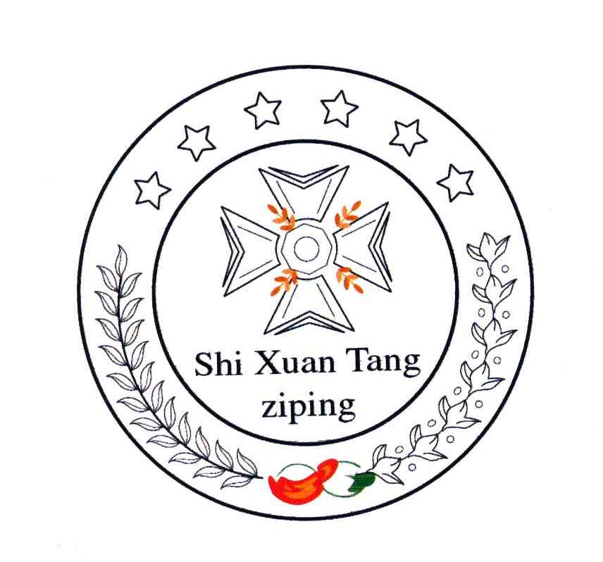 SHI XUAN TANG ZI PING