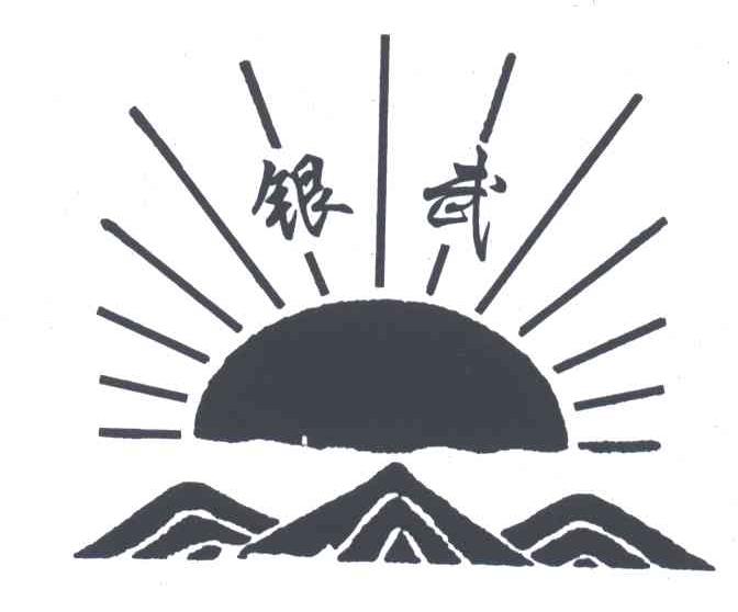 银武