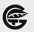 GT