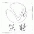 沃特