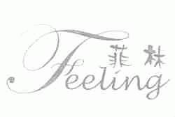 菲林;FEELING