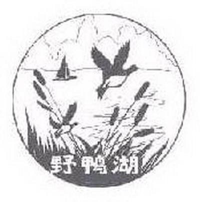 野鸭湖