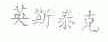 英斯泰克