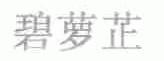 碧萝芷