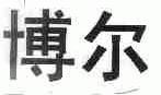 博尔