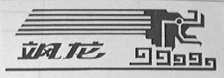飒龙