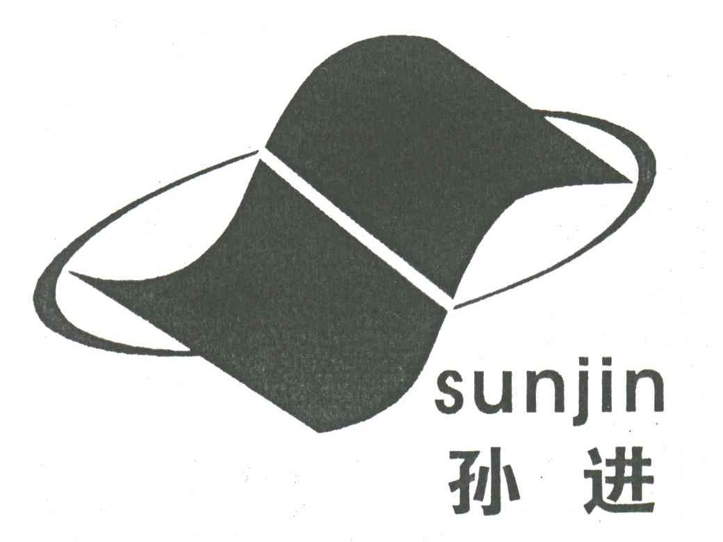 孙进