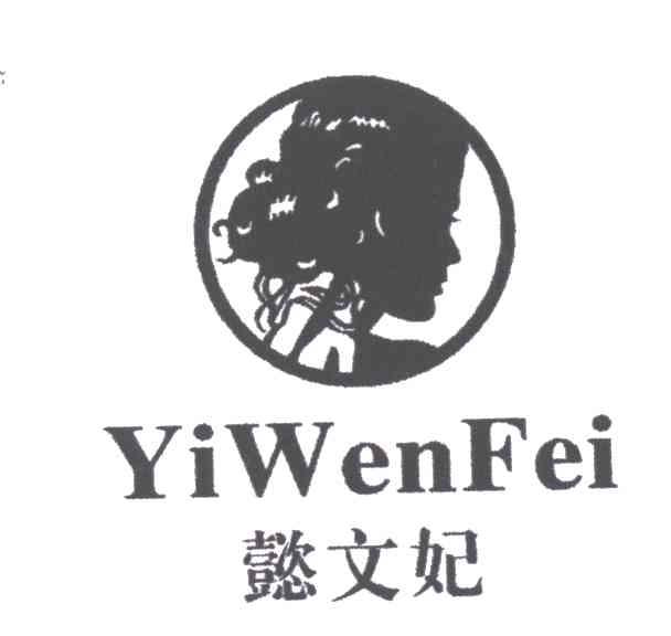 懿文妃及图形