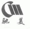 驰美