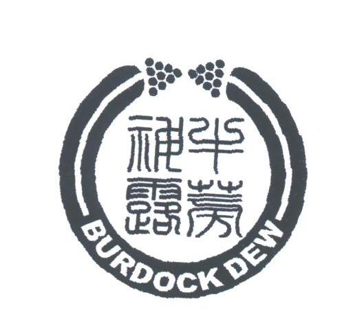 牛蒡神露;BURDOCKDEW