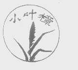 小叶樟
