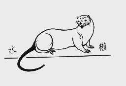 水獭