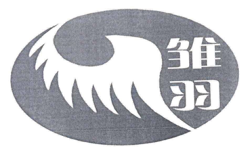 雏羽