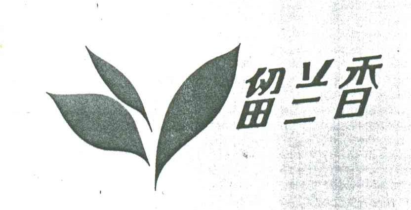 留兰香