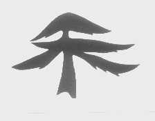 图形