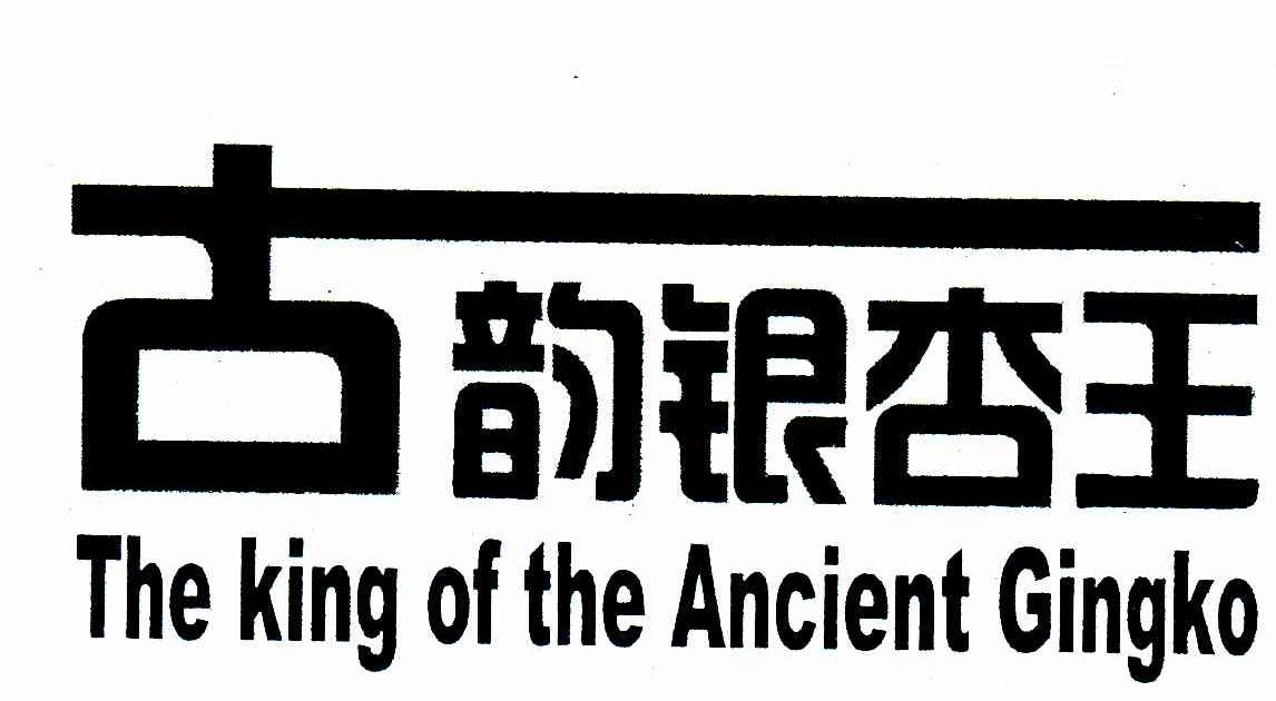 古韵银杏王 THE KING OF THE ANCIENT GINGKO