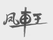 凤车王