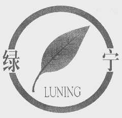绿宁