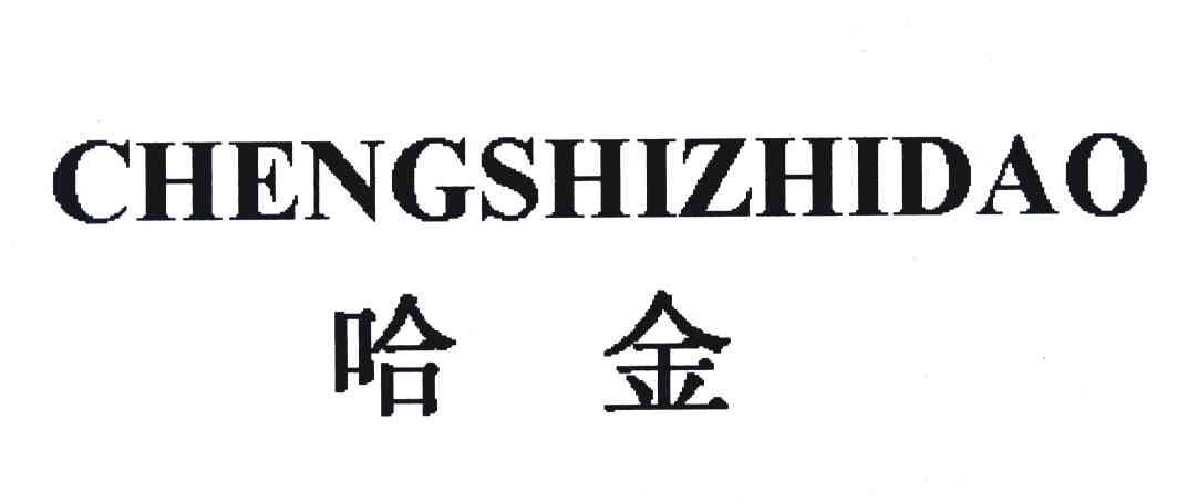 哈金 CHENGSHIZHIDAO