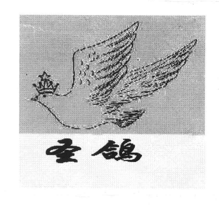 圣鸽