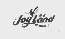 姣兰   JOYLAND