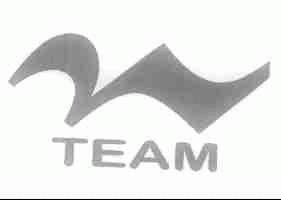 TEAM