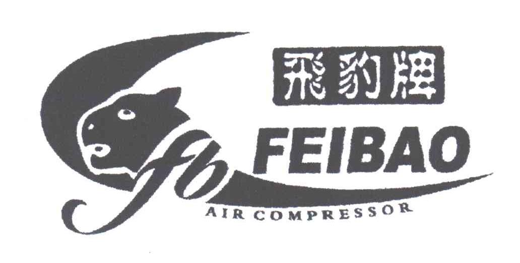 飞豹