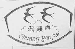 双燕