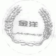 金洋