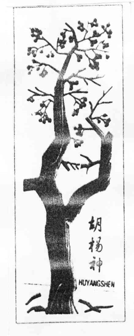 胡杨神