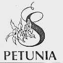 PETUNIA