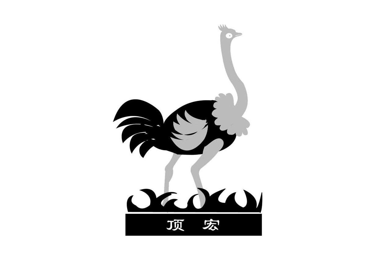 顶宏
