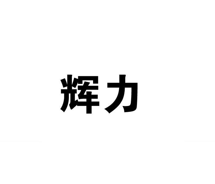 辉力
