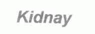 KIDNAY