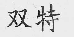 双特