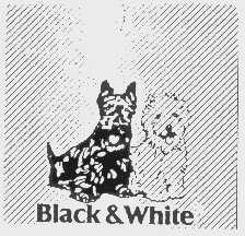 BLACK & WHITE