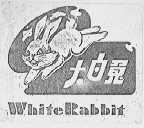 大白兔    WHITE RABBIT