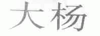 大杨
