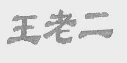 王老二