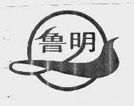 鲁明
