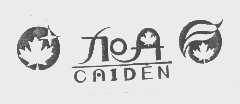 加丹   CAIDEN