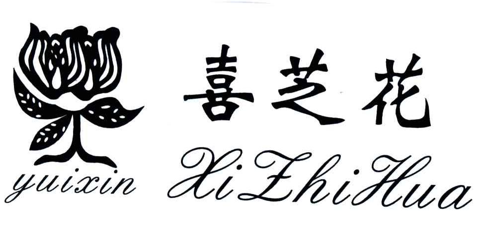 喜芝花;YUIXIN