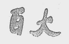 百大