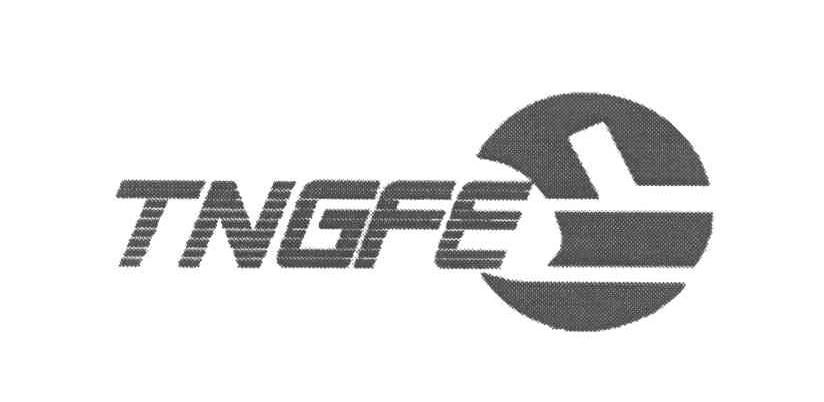 TNGFE