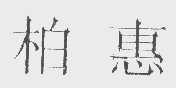 柏惠